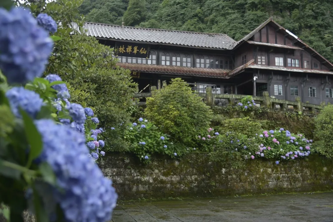 仙峰寺可不止拜财神更让人赞叹的还有这些