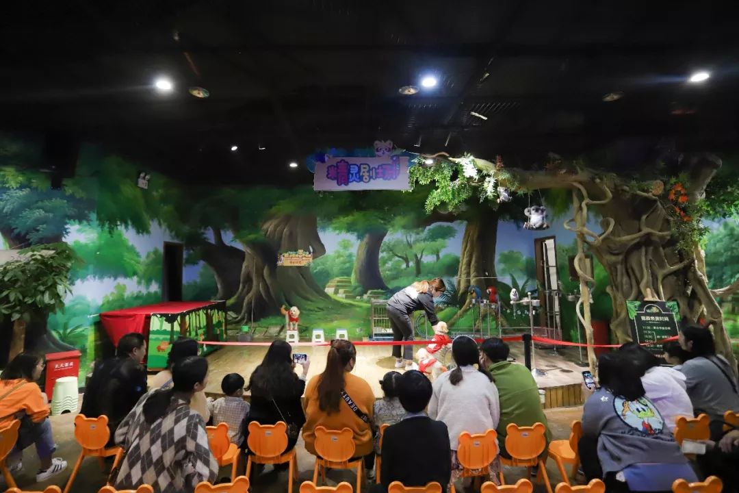 终于来到了令人期待的精灵剧场~这里每天都有精彩绝伦的小动物表演秀