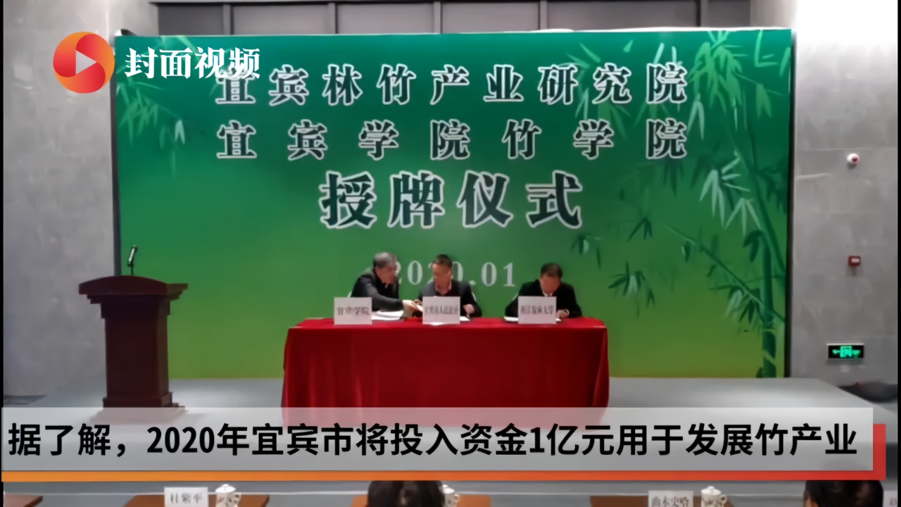 宜宾林竹产业研究院,宜宾学院竹学院授牌仪式举行