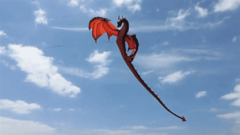 当心了!"go fly a kite" 才不是"去放风筝",别被骂了还不知道