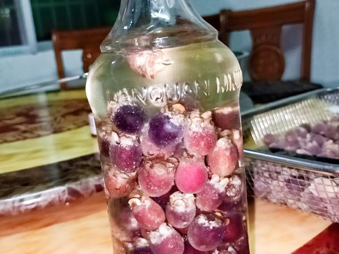 这种野果你也吃过吧?生食或泡酒均可,它是童年记忆中经典的美味