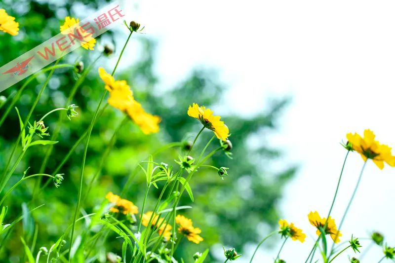 美图欣赏|拥抱春天,拥抱希望