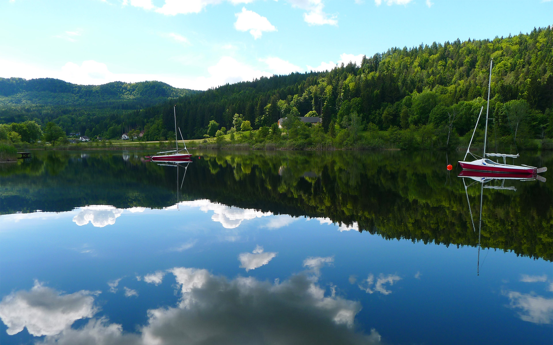 十一月二十四日开始,迎来鸿运,会吉星高照,如沐春风的三大生肖
