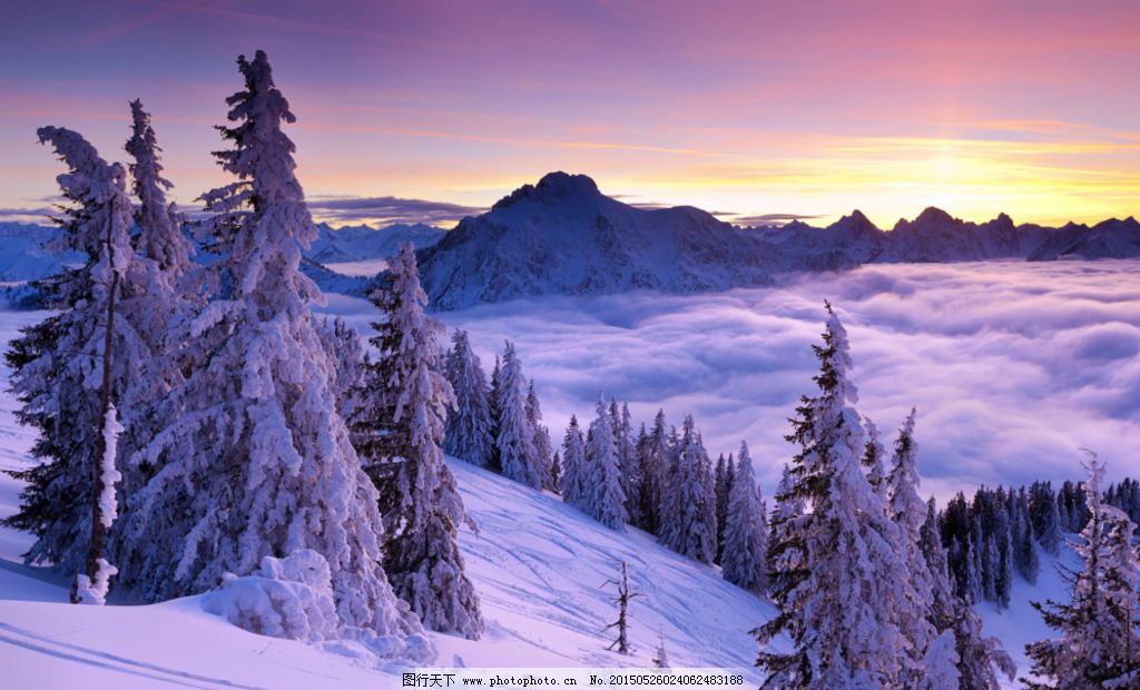 面对未知世界我们如何才能不画蛇添足