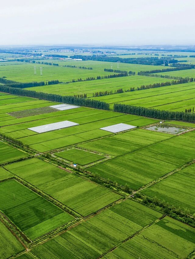 江汉平原大部分海拔均在35米以下地势相当平坦流淌在此的长江自由摆荡