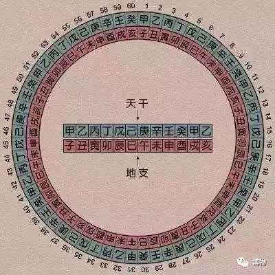 《博物》排在生肖之首的，为啥是老鼠？