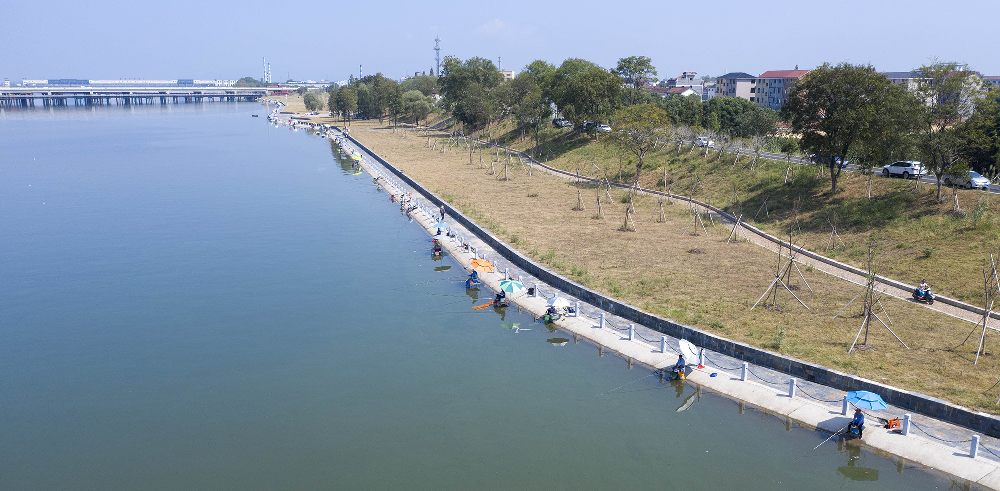 夏日里的洋埠衢江水岸,水清鱼肥,吸引了不少爱好者前来垂钓.