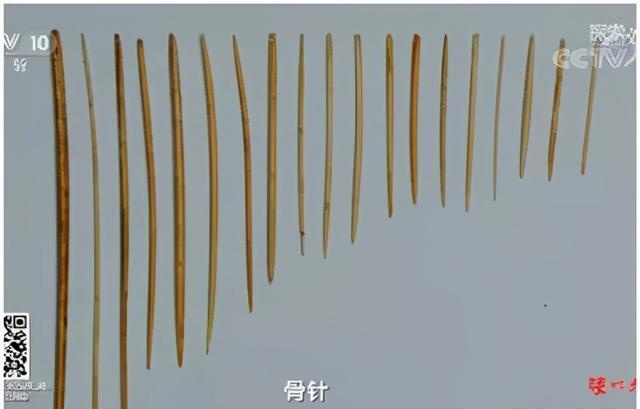 石峁发现1.4万根骨针,比现代钢针还细,绝大部分没使用过,应充当货币。