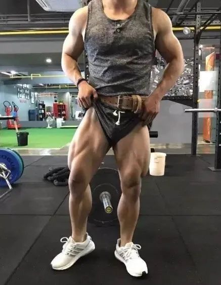 健身不练腿迟早要后悔健身干货