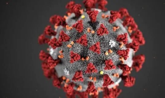 突变或许并不意味着更强毒力的新冠病毒毒株会出现