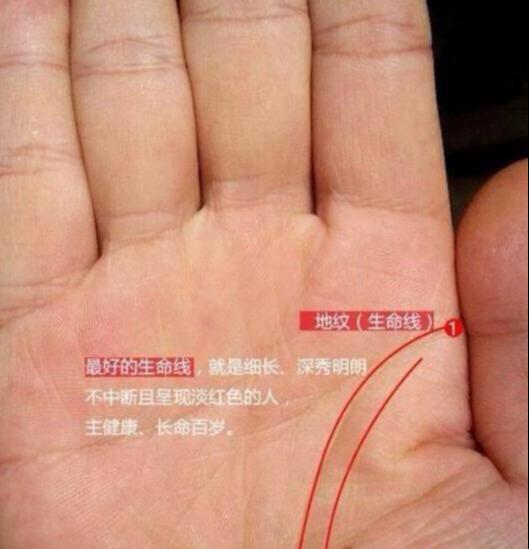 生命线破损断裂的人,最好生命线的旁边能多一条辅助线,我们称之为副