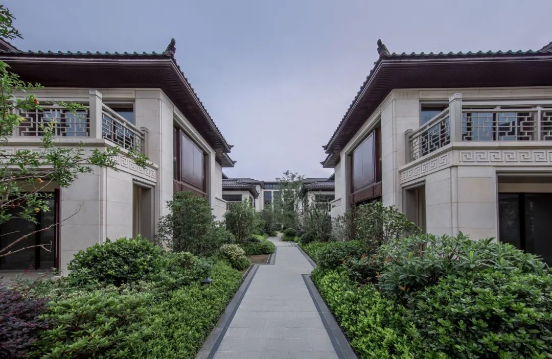 玫瑰法则 ③上下 | 端庄考究,玫瑰系的典雅传承__凤凰网