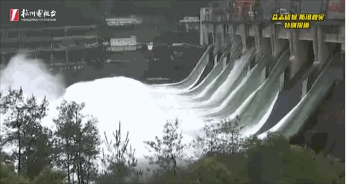 新安江水库正在7孔泄洪 图片来源：@杭州电视台综合频道