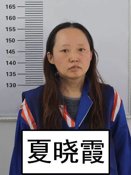 关于公开征集犯罪嫌疑人李永先等人涉嫌违法犯罪线索的公告