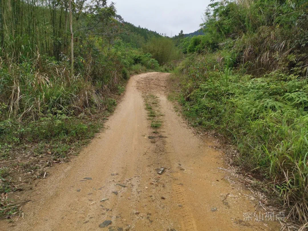 最后的土路深汕合作区红罗畲族村致富路通了