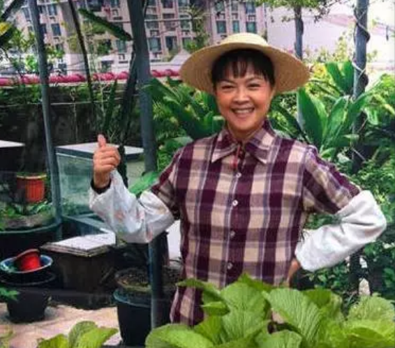 广东台摇钱树马婷因病去世搭档柳敬东再度携妻喻明担纲主持