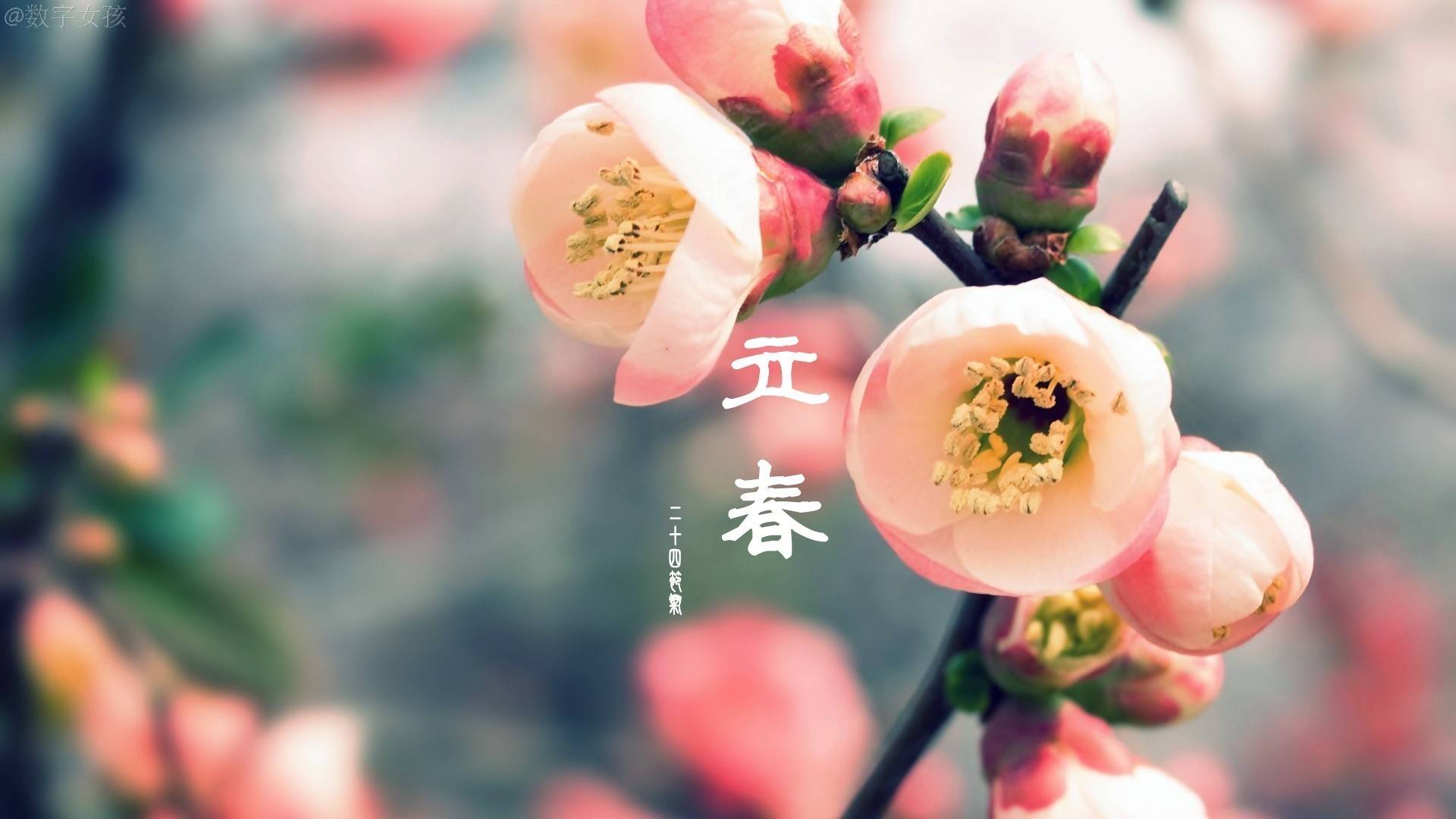 立春当天有哪些风俗讲究?为何这天不能“理发”?_凤凰网