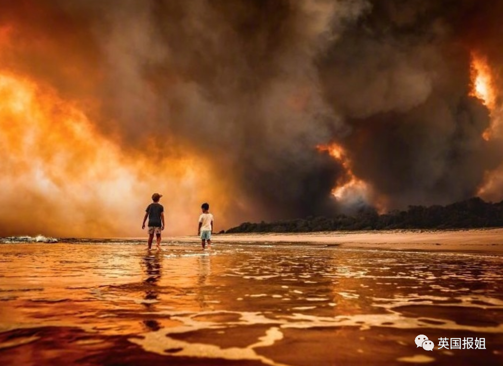 震撼回顾半年史魔幻沉重仿佛每天都在见证历史2020才过去一半