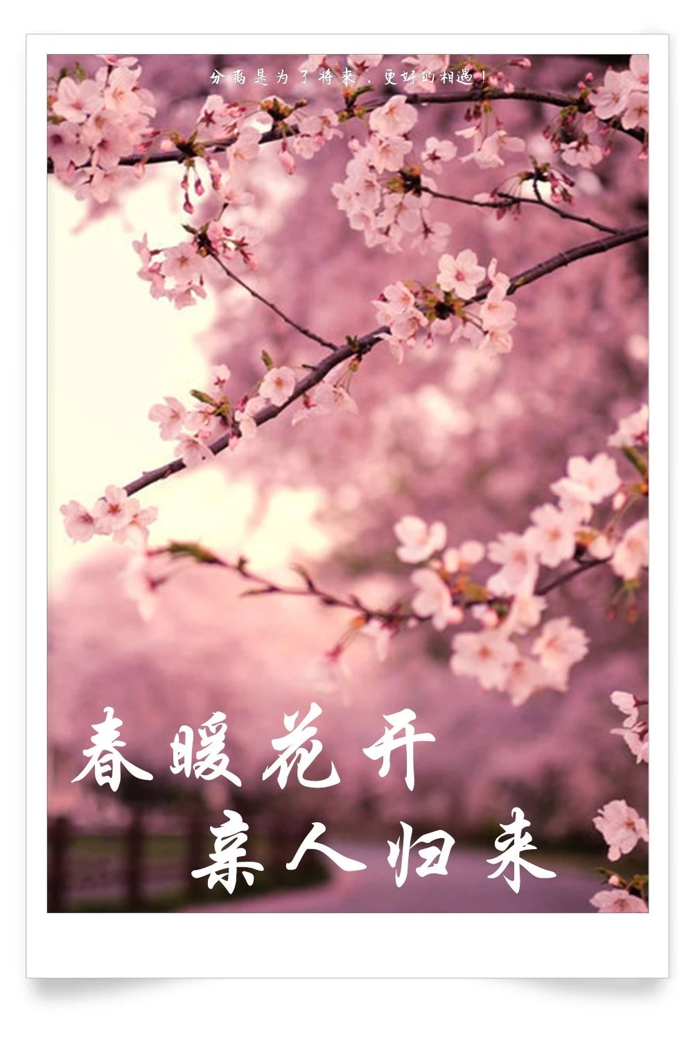 致敬每一个为战疫努力的你