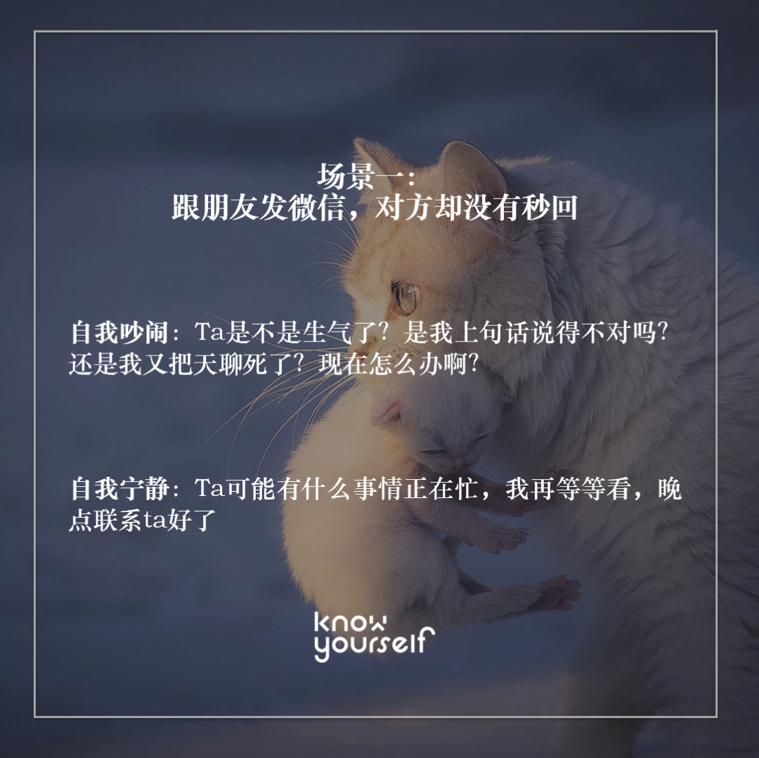 FFCC11480D4612333719699BE2D0C291B7973F98_size990_w1080_h1079.png