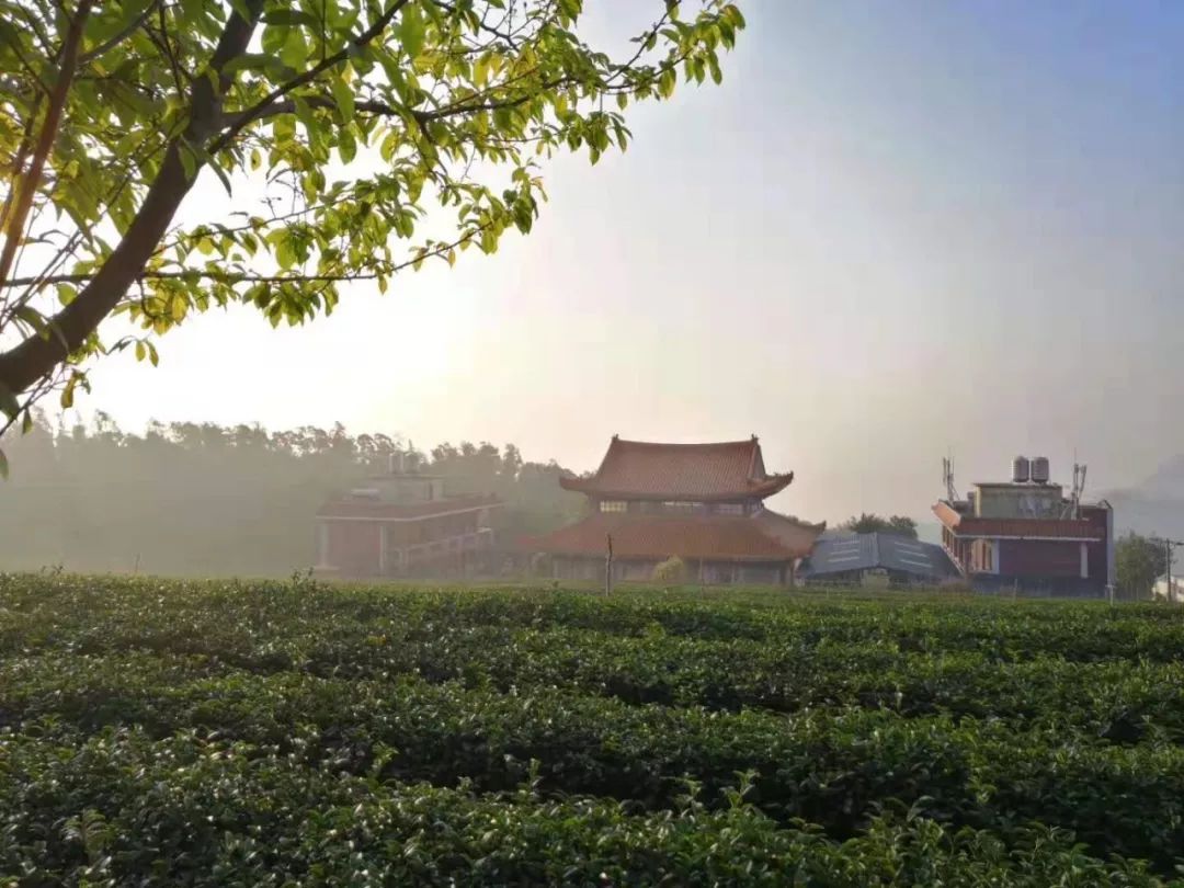 佛国寺地址:厦门翔安区内厝镇妙高山佛国寺 (导航软件直接输入"妙高山