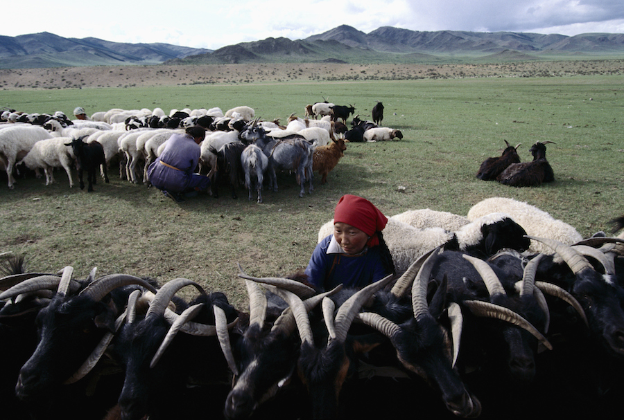 蒙古国牧民