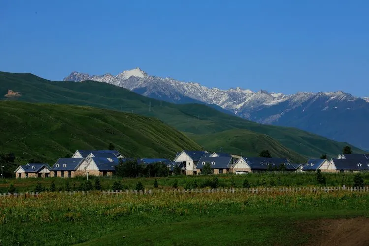 伊犁百里画廊唐布拉