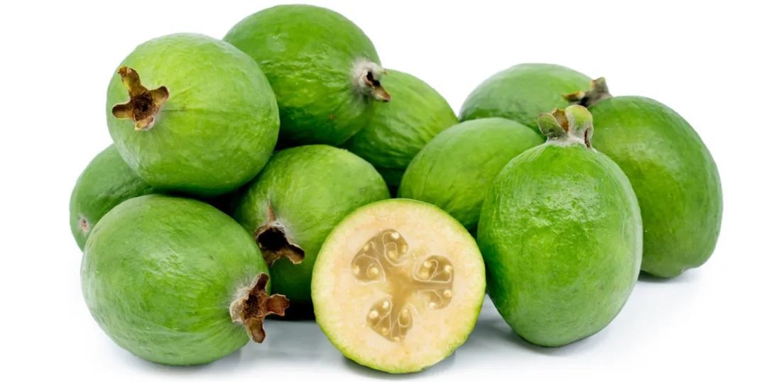 新西兰低调的国民水果——斐济果