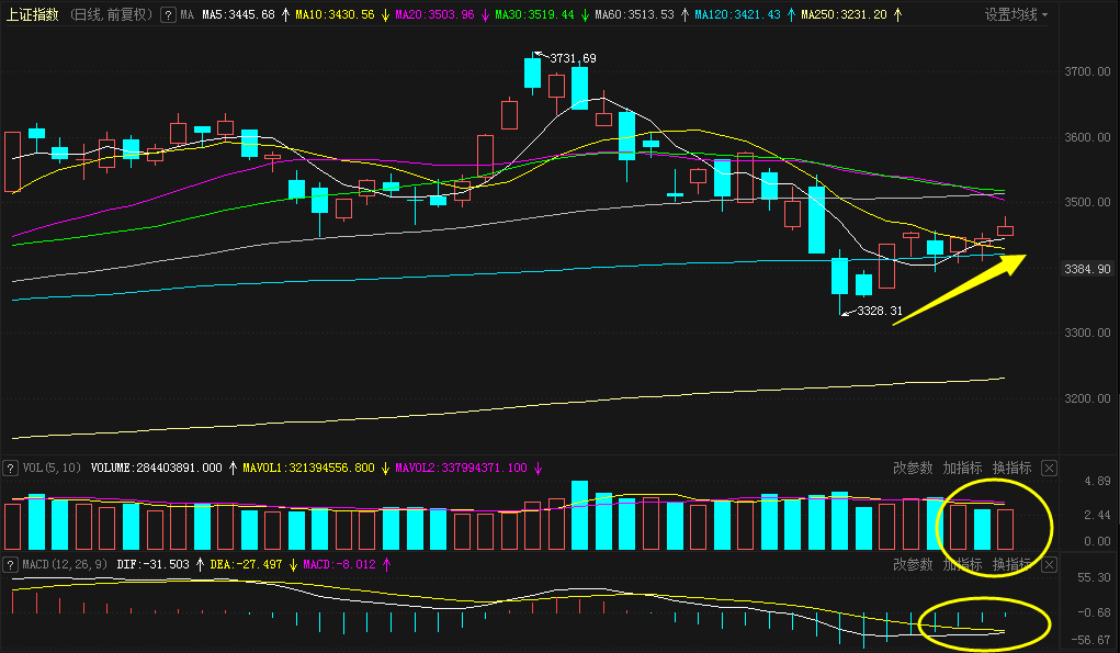ST众泰核查复牌后再度涨停 它还能“妖”多久?(图2)