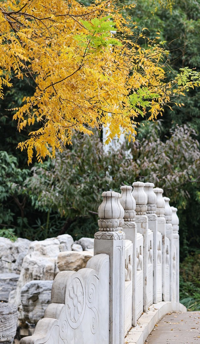 亲民远摄镜头 佳能RF100-400mm IS USM评测