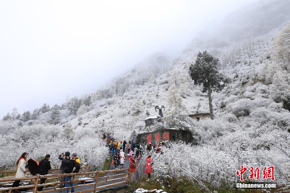 毕棚沟景区雪后风光。 毕棚沟景区 供图