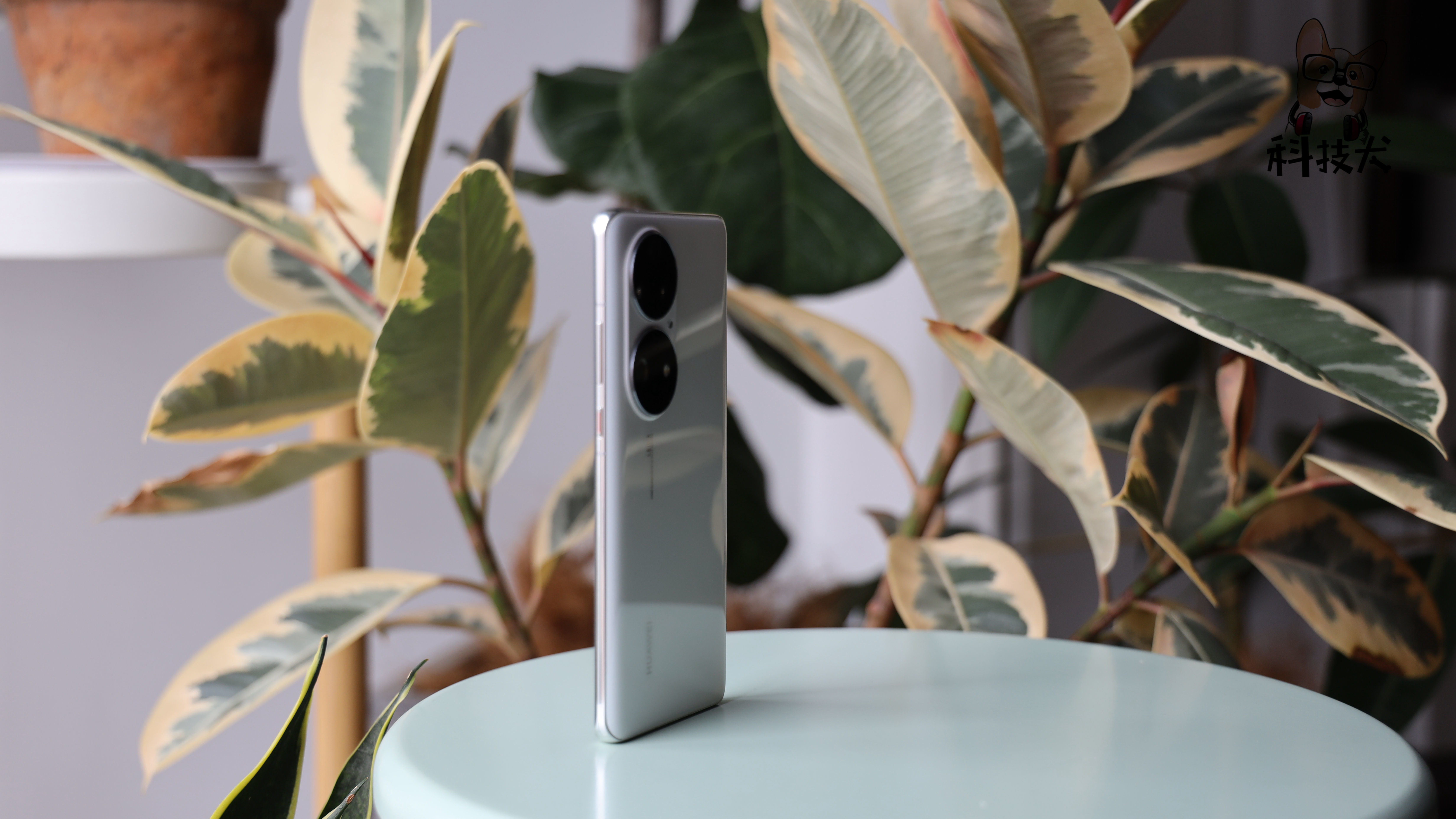 华为p50 pro开箱:计算光学技术让手机摄影进入"算法时代"?__凤凰网