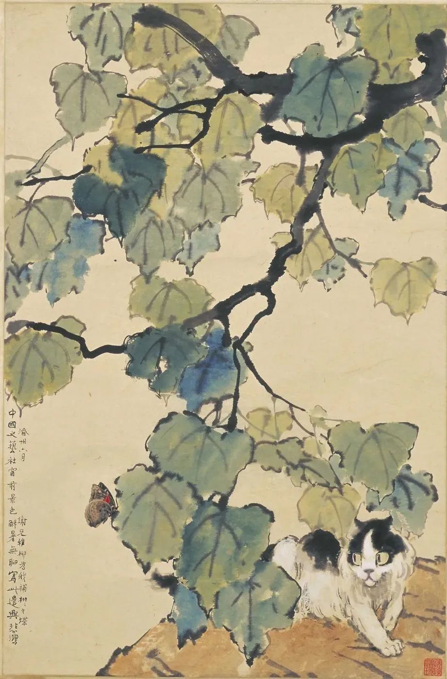 徐悲鸿画猫调侃徐志摩_凤凰网