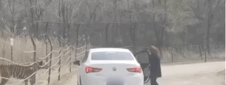436.gif