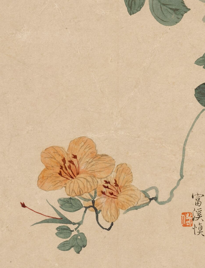 汪士慎：花卉图册_凤凰网