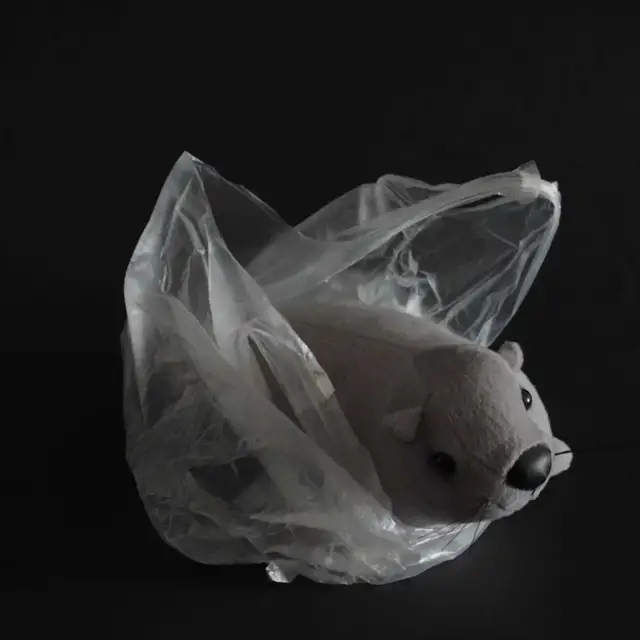 津门网曹磊:塑料袋里的生活