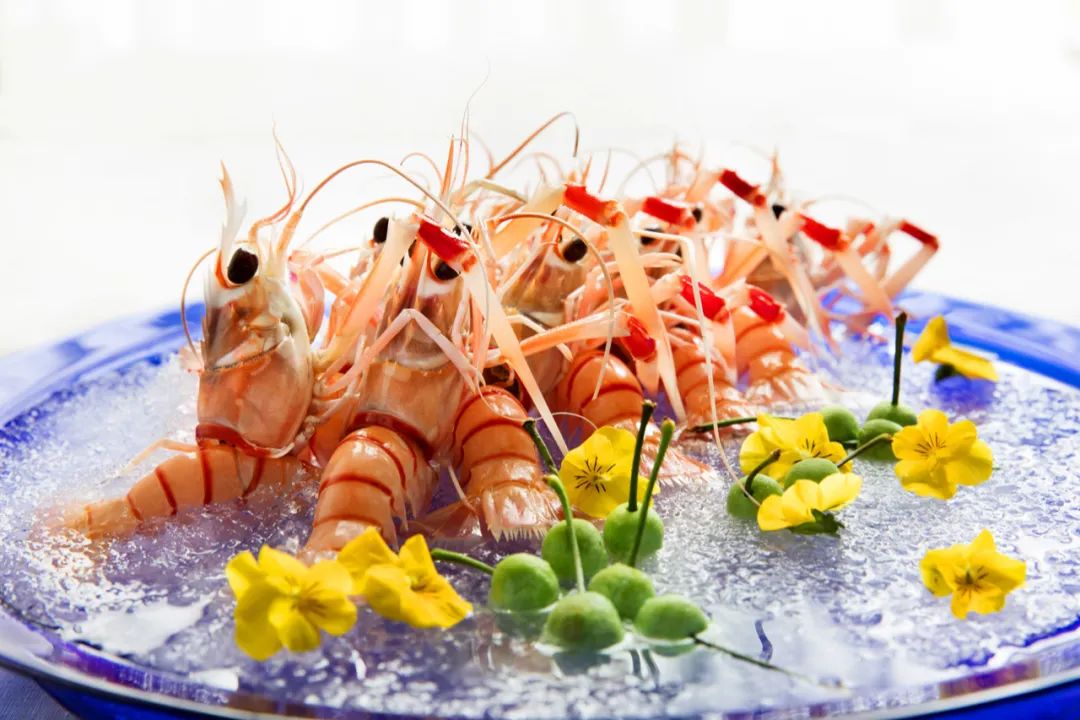前调&middot;南极深海鳌虾刺身