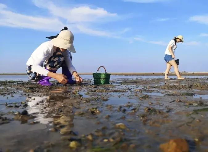 一挖一麻袋!威海这些赶海绝佳好去处,轻松俘获小海鲜