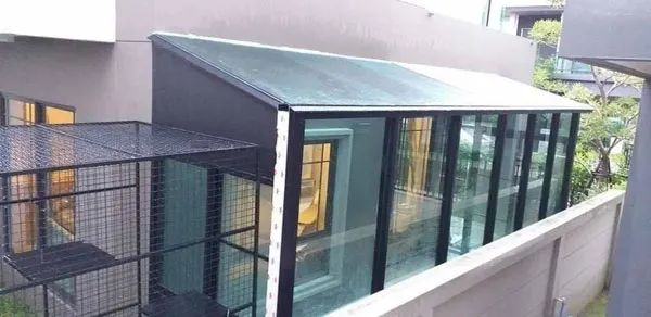 如何用家里的空地给猫搭一个阳光房,猫猫很喜欢