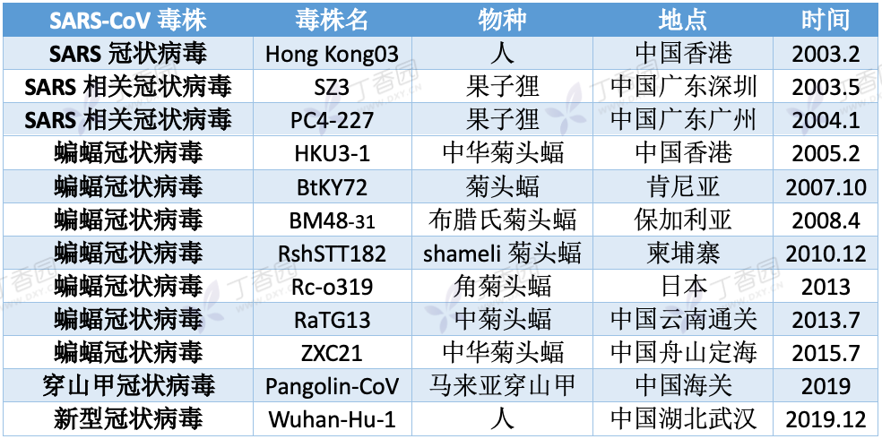 SARS 冠状病毒物种包含的部分毒株(图源:溯源报告/作者制图)