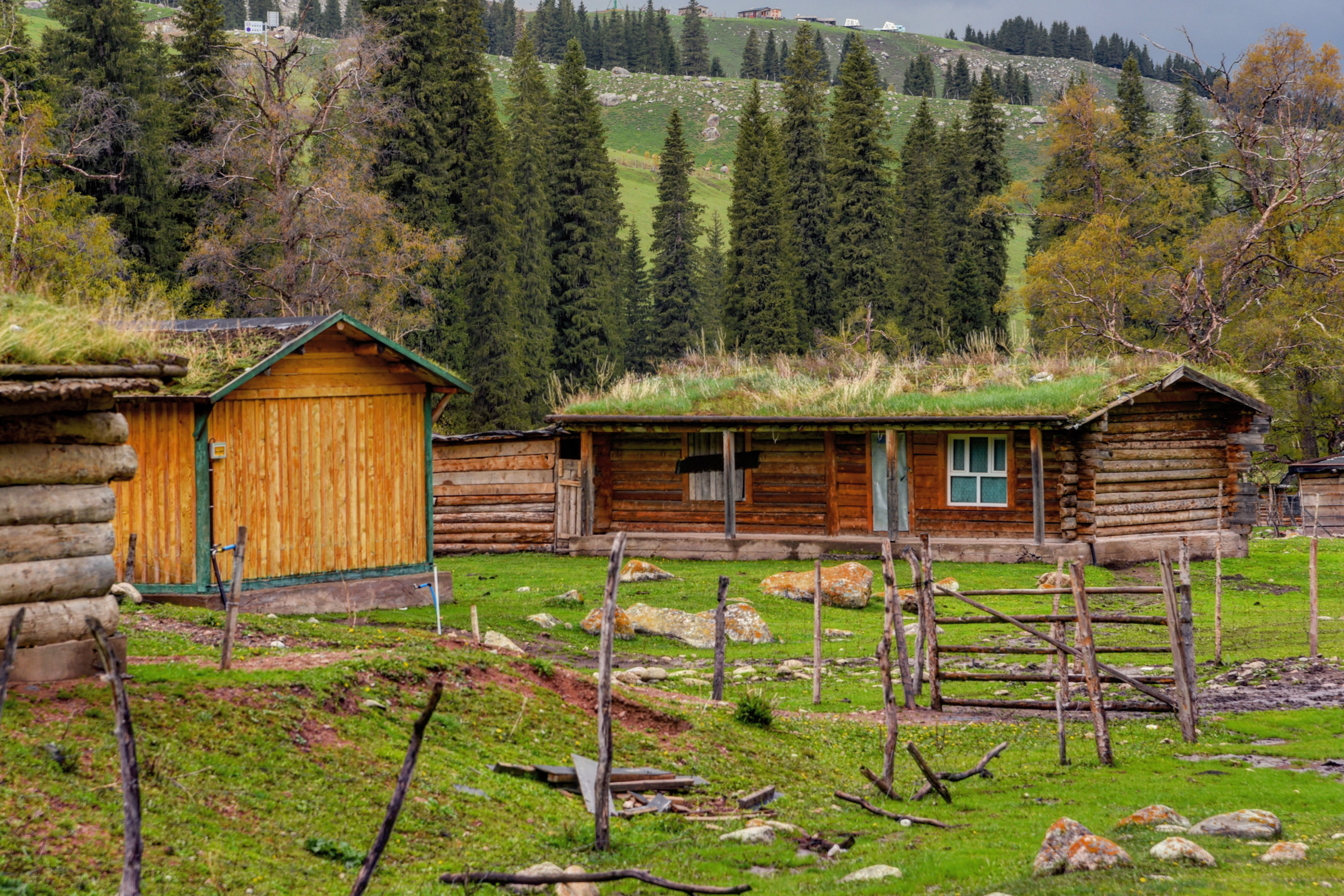 新疆哈萨克族的原始村落,民居基本都是木质,很多当地人都不知道__凤凰