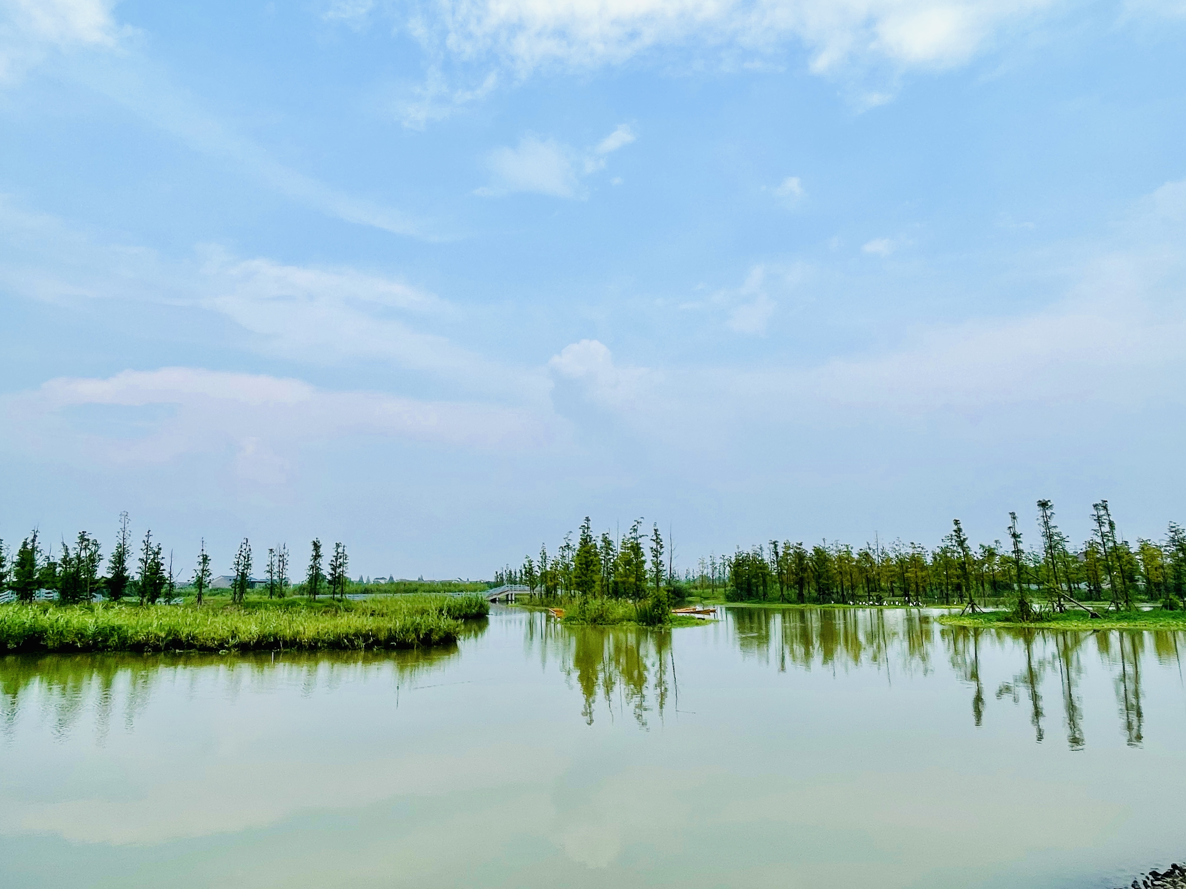 水库村中心河河景