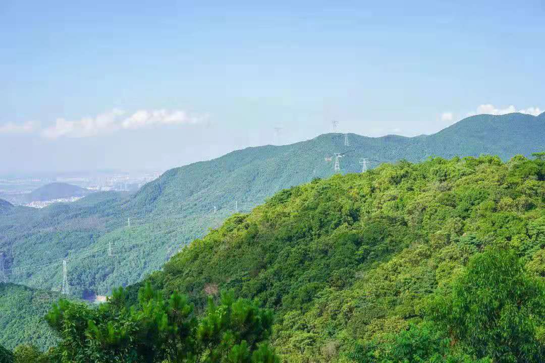 今天請脫下白袍,走進東莞觀音山,這次換我們來為您服務!