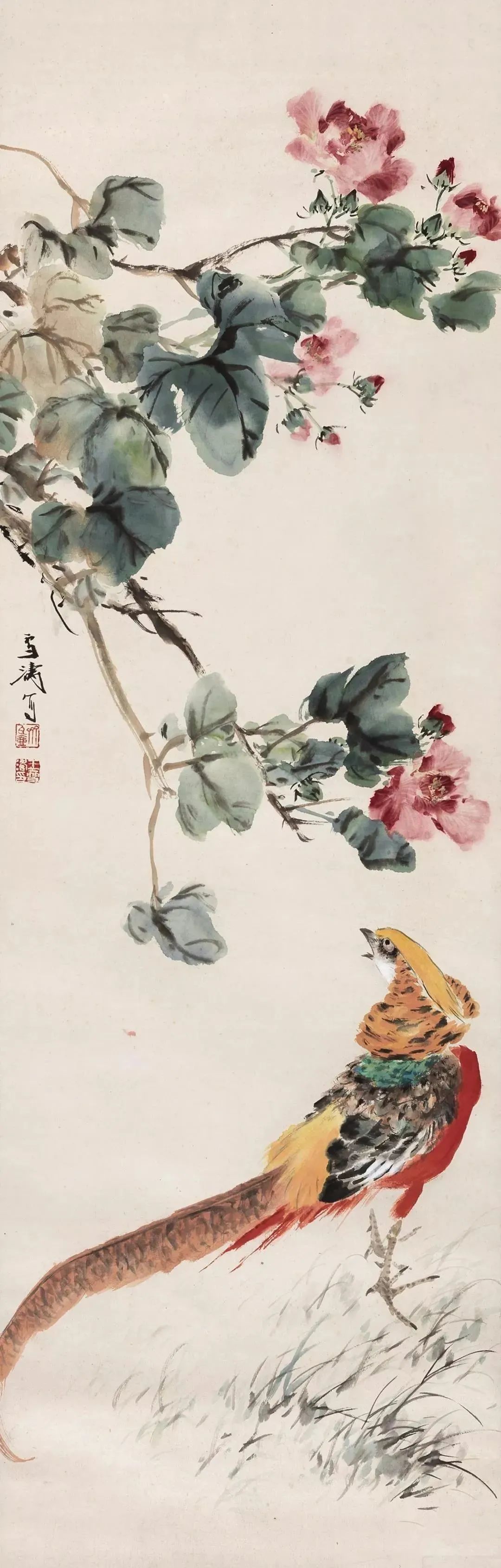 王雪涛花鸟高清百图