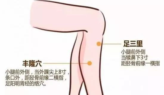 腿部的血位置示意图图片