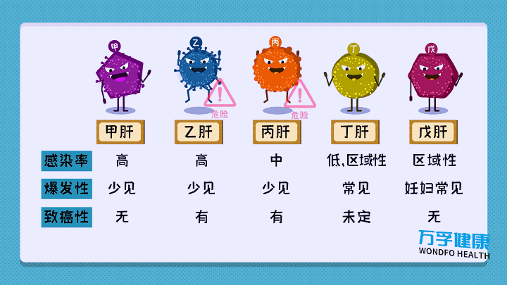其中甲肝,戊肝的传播方式是粪口传播,食用被污染的水源,食物等都可能