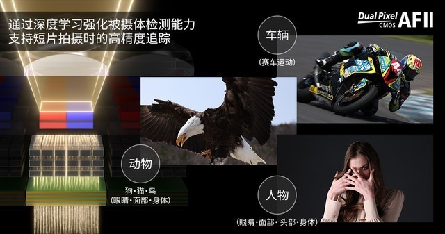 2021 LT10 | 谈佳能第二代全像素双核CMOS AF对拍摄的帮助