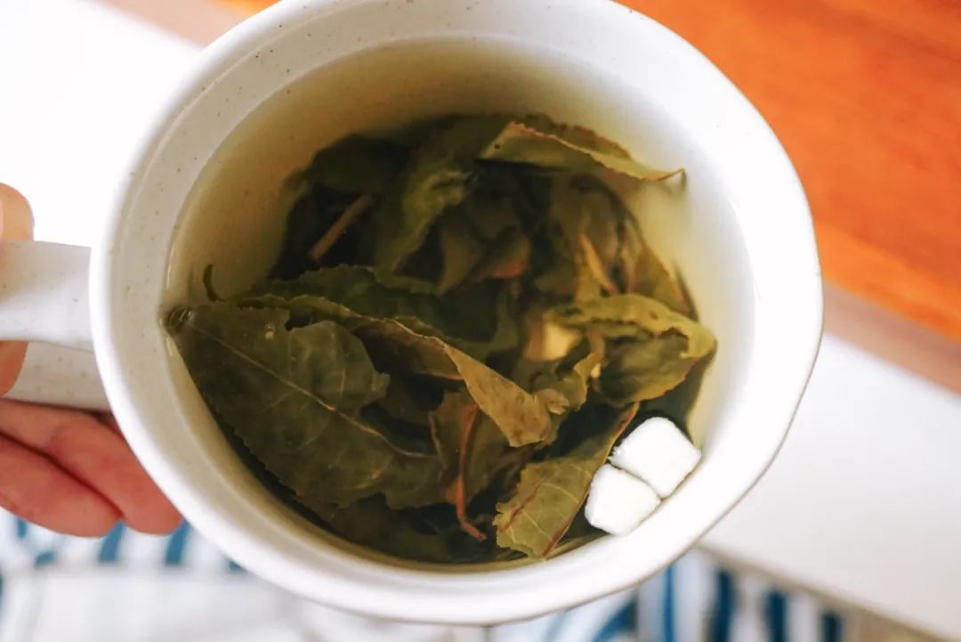 纯手工采摘的台湾金萱乌龙茶 泡开后,能看到乌龙茶的绿叶红镶边的特征