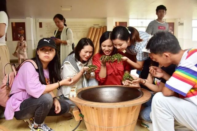 这个旅游文化节超有看头！送上虔心小镇金牌茶旅路线攻略