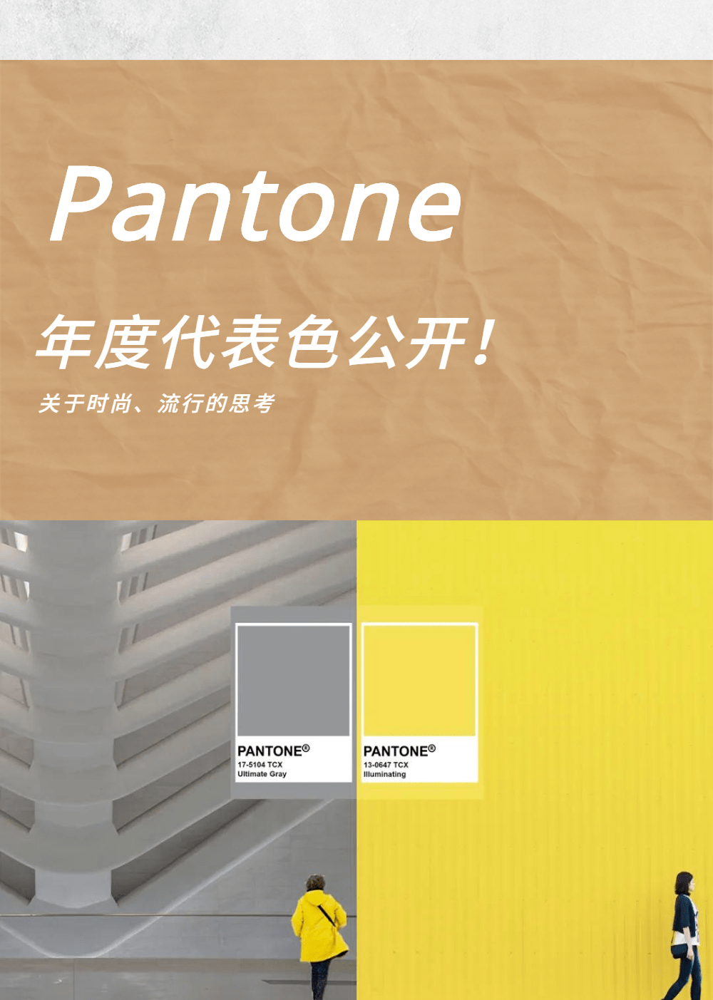 67色彩趋势|pantone 2021年度代表色 ——(极致灰)   (亮丽黄)